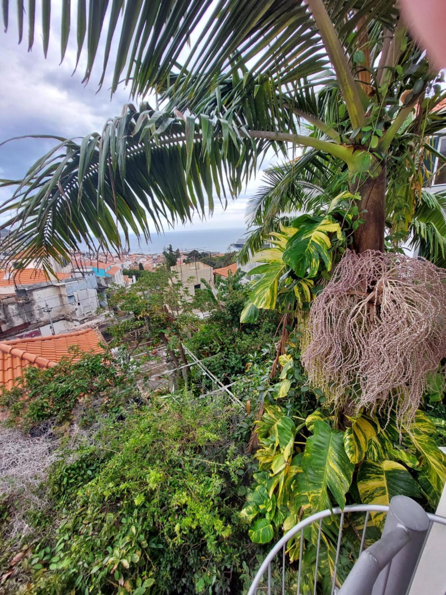 Apartamento Casa Pico Musica Funchal  Exterior foto
