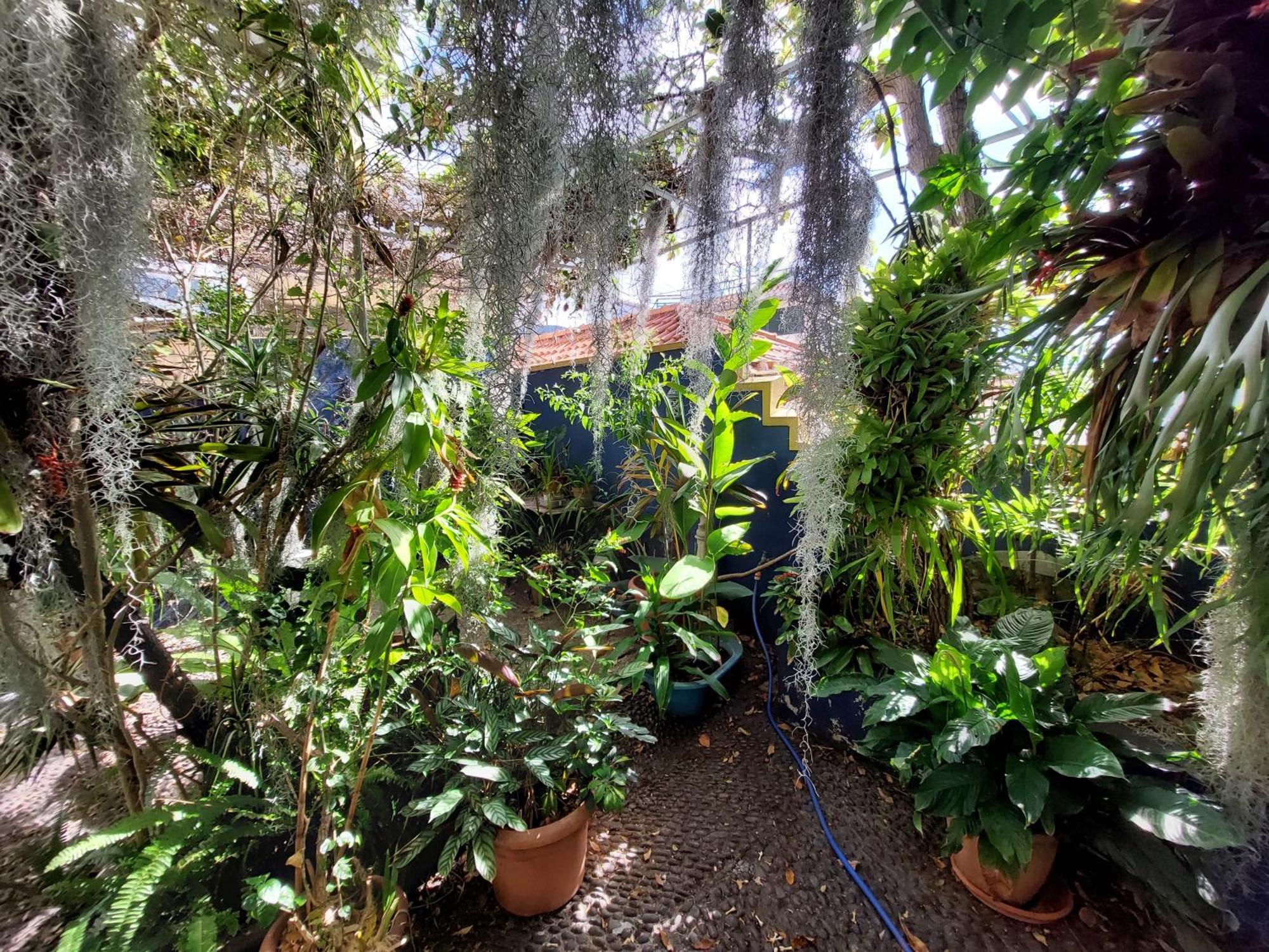 Apartamento Casa Pico Musica Funchal  Exterior foto