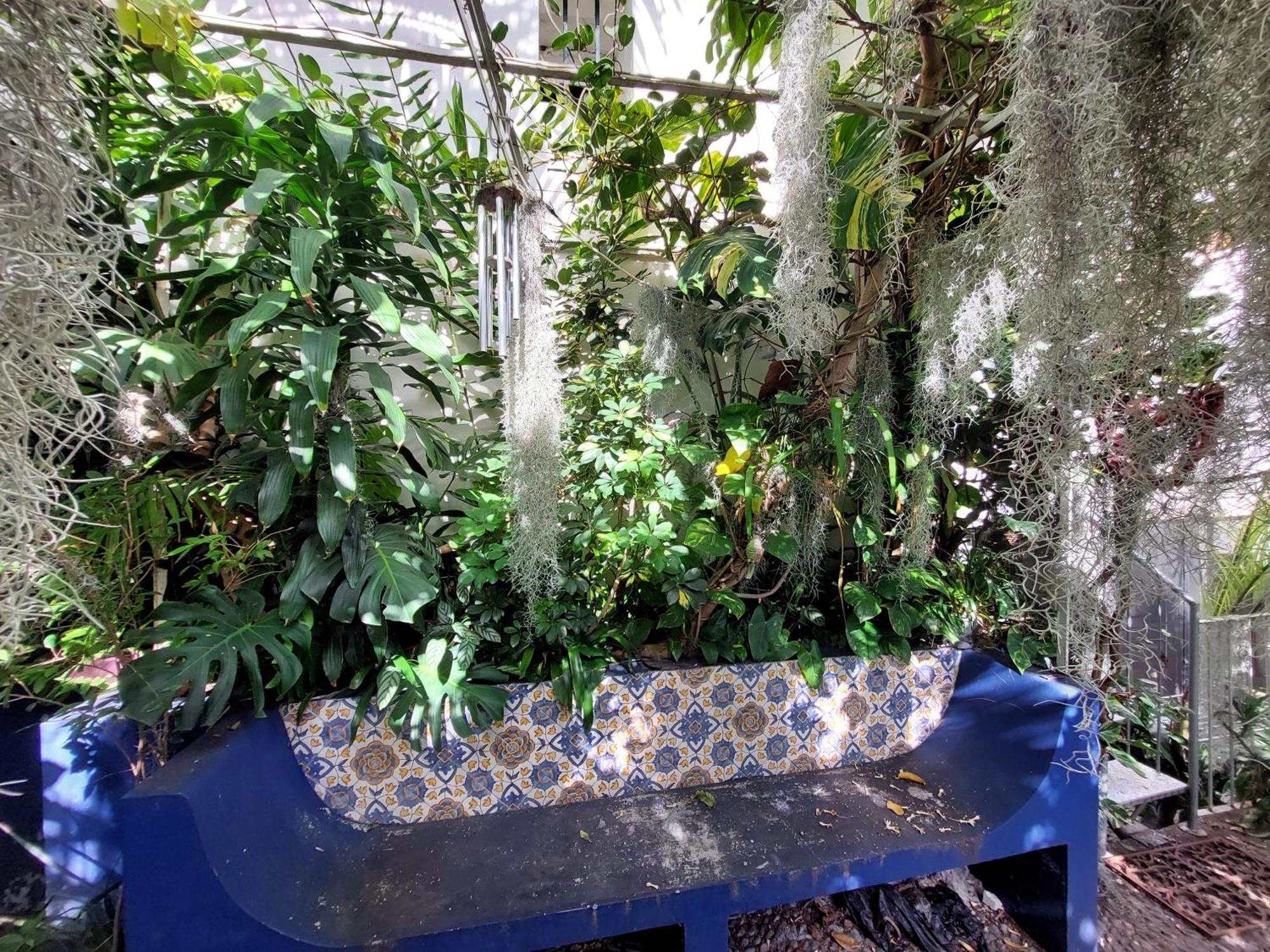Apartamento Casa Pico Musica Funchal  Exterior foto